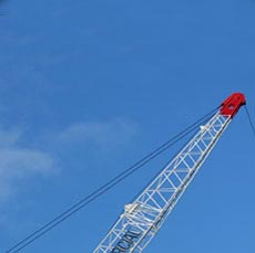 our_crane_1