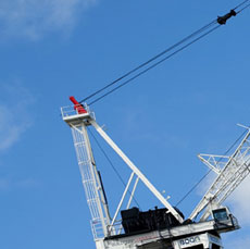 our_crane_2